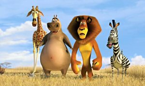 Beginners bootcamp, Covent Garden