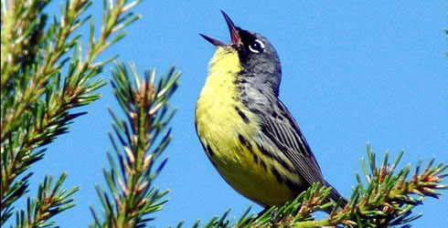 "You look very..... French"