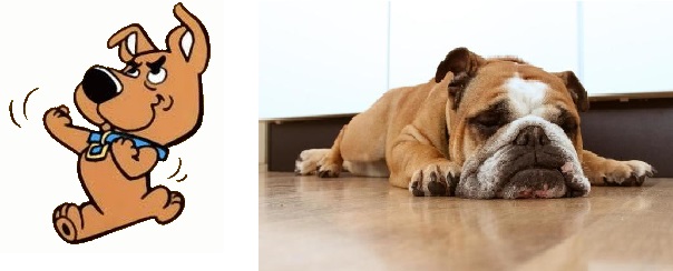 It was either one or the other all year